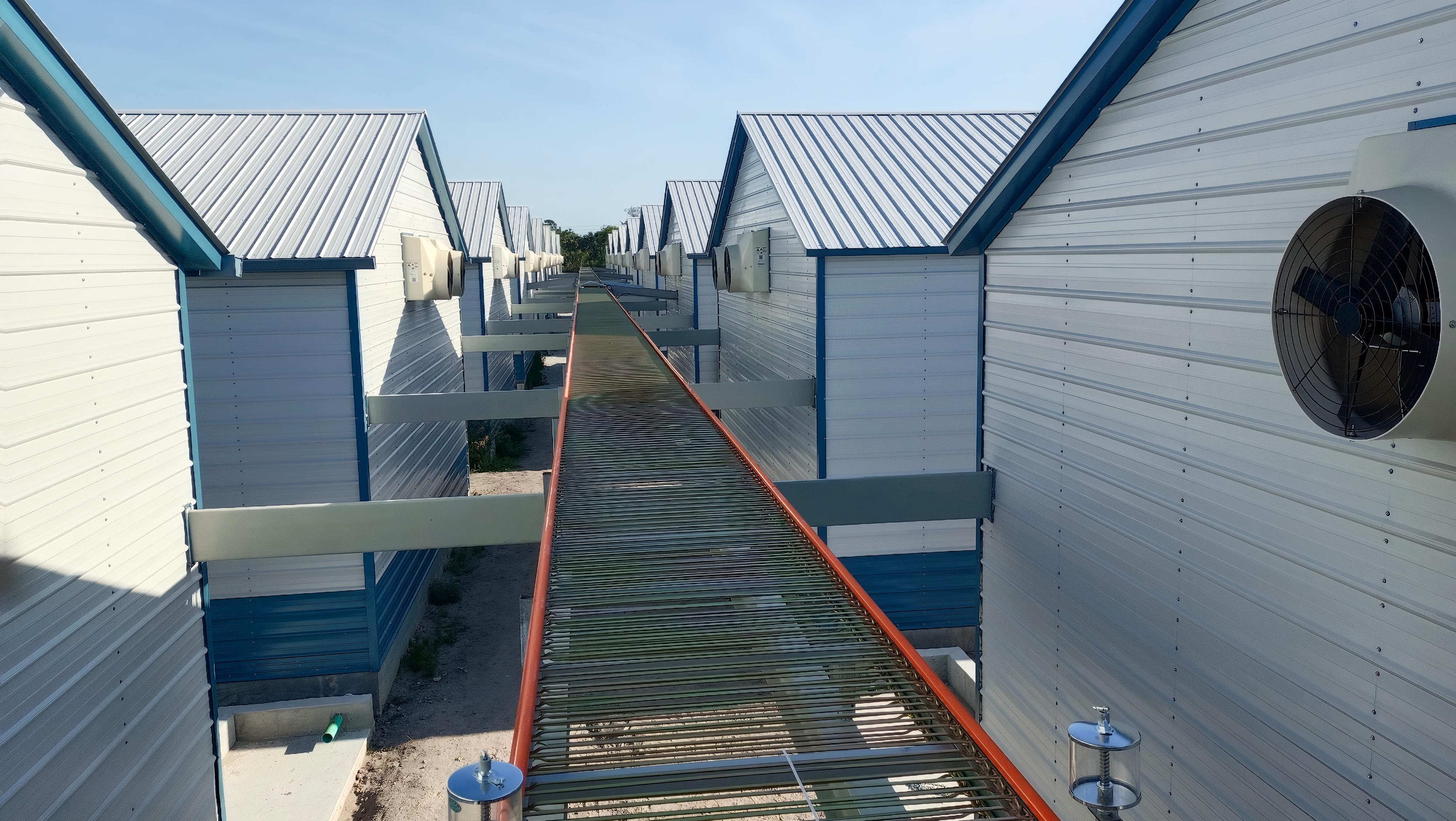Ameryka 400.000 warstw projekt bez klatek