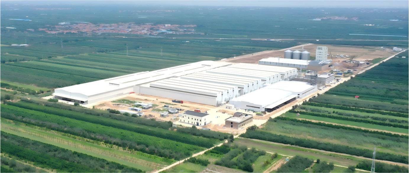 Projekt 8 milionów warstw