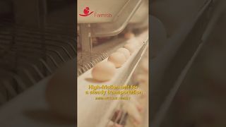 Farmrob | Stabilny zbiór jaj ze współczynnikiem stłuczenia 0,2% #farma drobiu #kurczak #factoryproducts