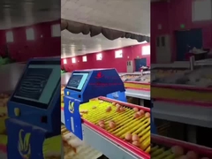 Farmrob 99,8% dokładność Inteligentny licznik jaj 25W 220V 50HZ zatwierdzony ISO9001