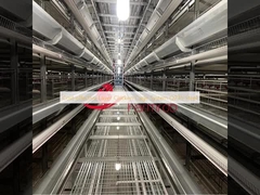 Ekonomiczny system klatek dla kur niosek ze stali Q235