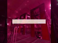 60000 System bezpiecznej klatki kurczaka dla rosyjskich gospodarstw rolnych z 9 ptakami na komórkę i przyjazną dla środowiska konstrukcją