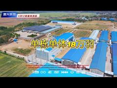 12-poziomowa farma z 6 rzędami