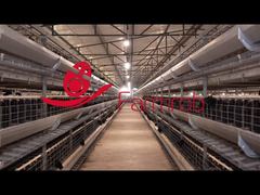 Farmrob | Klatka hodowlana do sztucznego zapłodnienia