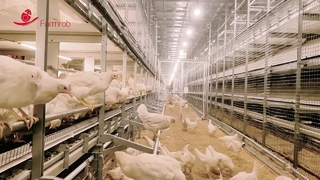 System opieki społecznej Farmrob