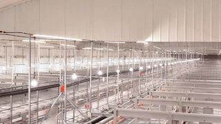 System bezklatkowy Farmrob o dobrej wydajności