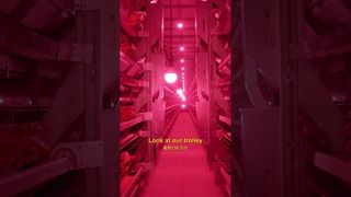 Farmrob | Jedna osoba może zarządzać jednym kurnikiem #poultryfarm #chicken